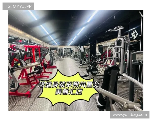 健身塑形的科学方法与技巧助你实现最佳体型与健康目标