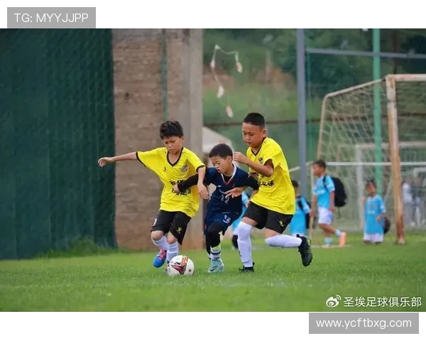 绿茵争锋激荡青春梦想见证足球激情与荣耀时刻