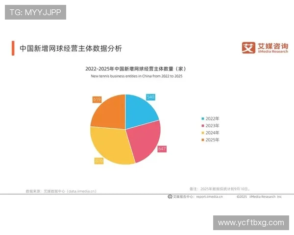 网球运动的魅力与挑战：探索技术进步与全球赛事发展的深度分析