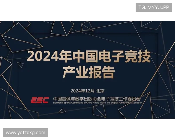 聚焦电竞职业联赛探讨数字竞技产业发展与青年文化融合趋势