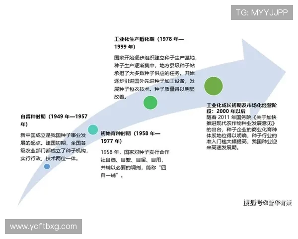 聚焦足球运动员成长之路与赛场表现全景解析及未来潜力展望发展趋势