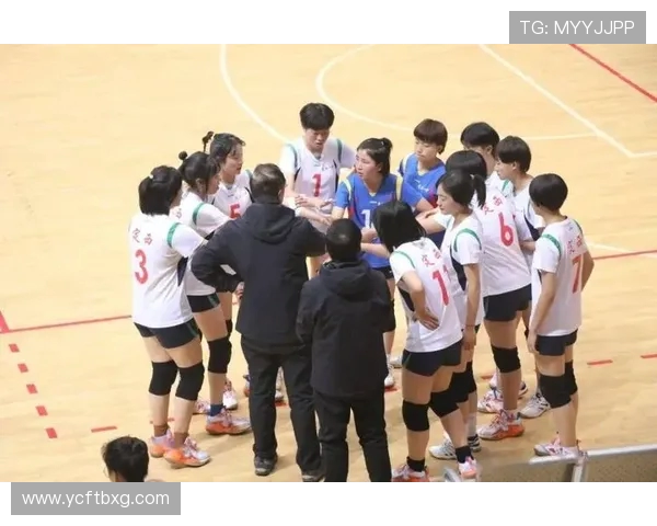 成都排球队的拼搏之路：一段关于汗水与荣耀的排球纪实故事