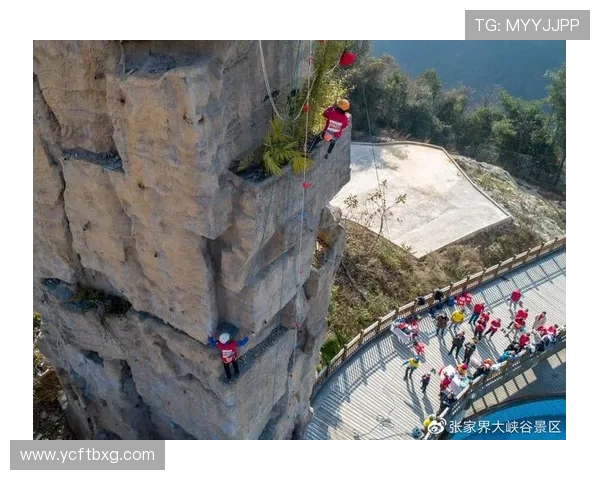 深圳极限运动队与成都极限运动队赛后状态分析与表现评估 深圳极限运动队与成都极限运动队赛后状态分析与表现评估