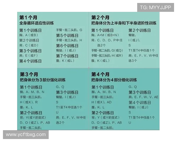 打造完美身材的健身计划 从基础训练到高效减脂的全方位指南